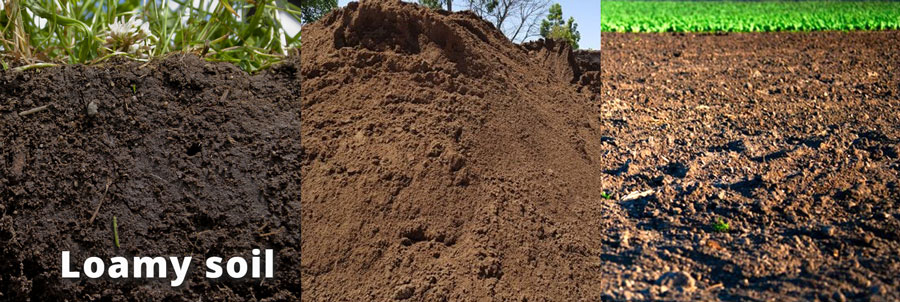 amazingherbgarden.com Loamy Soil for herbs - The Best soil mix for herbs Learn to make the best potting mix yourself