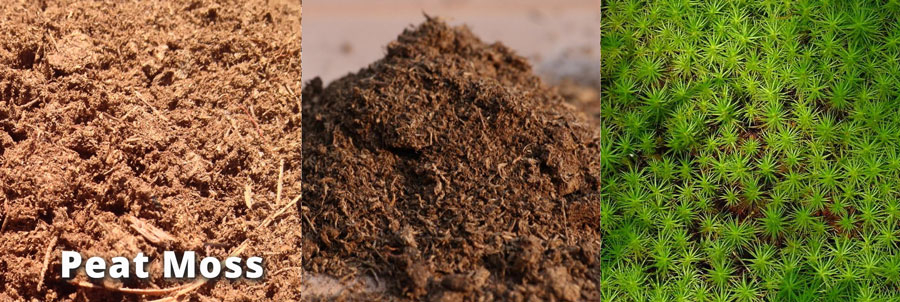amazingherbgarden.com Peat Moss soil for herbs - The Best soil mix for herbs Learn to make the best potting mix yourself