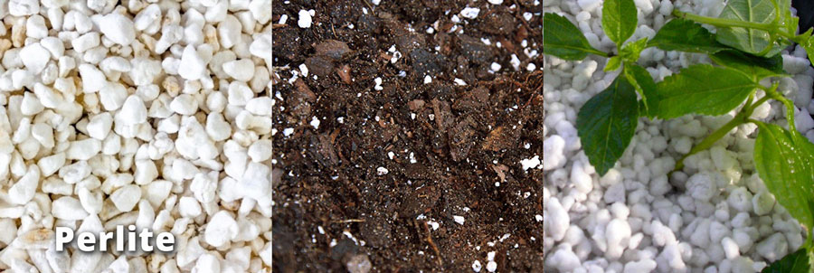 amazingherbgarden.com Perlite soil for herbs - The Best soil mix for herbs Learn to make the best potting mix yourself