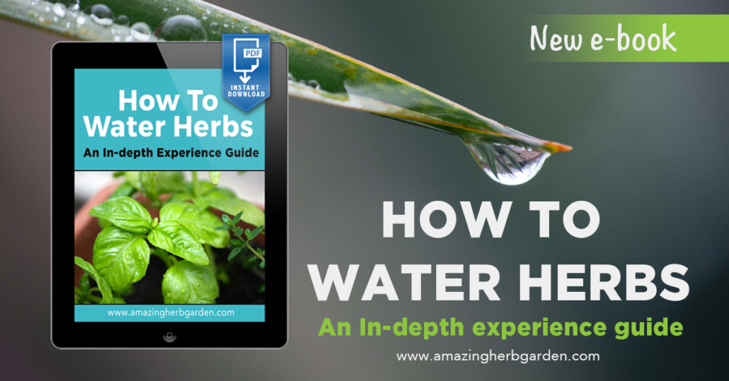 how to water herbs ebook