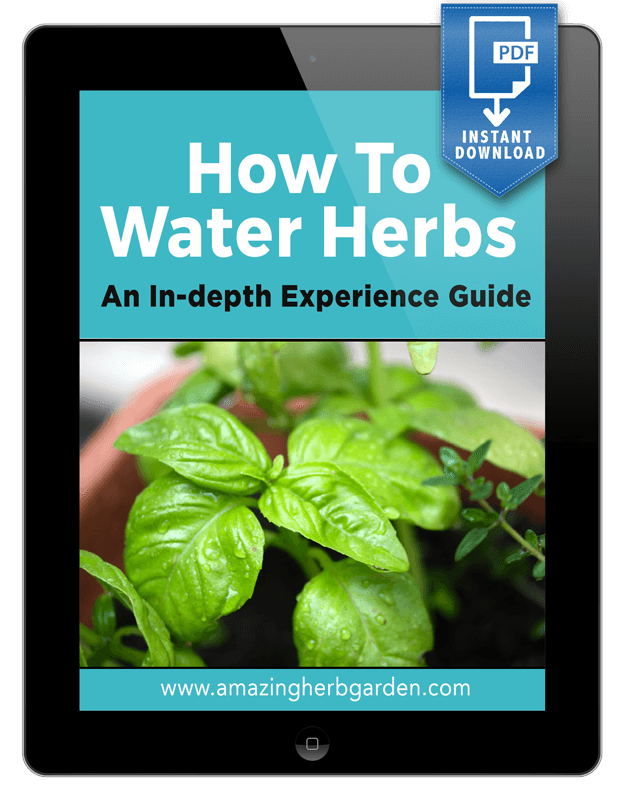 ebook-how-to-water-herbs-my in-depth experience guide