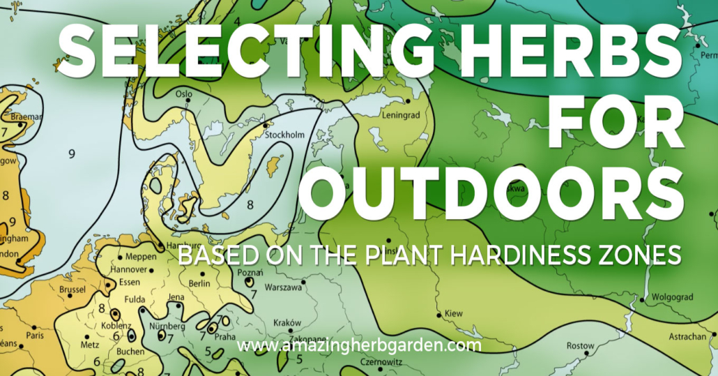Plant-hardiness-zones-selecting-herbs-for-outdoors-herb-garden