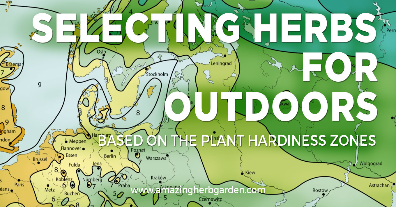 How To Select The Correct Herbs For Outdoor Herb Garden Amazing