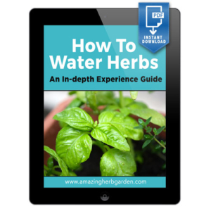 product-foto-ebook-how-to-water-herbs