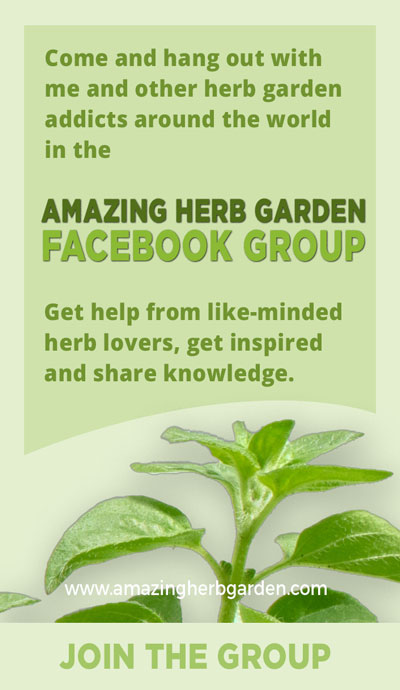 Amazing herb garden facebook group