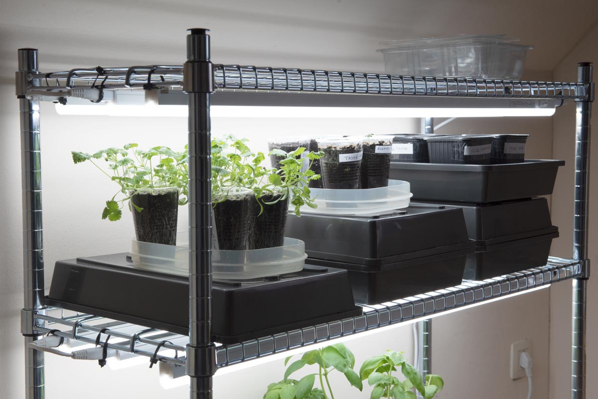 Indoor Grow Light And Seed Starting, Grow Light Shelving System