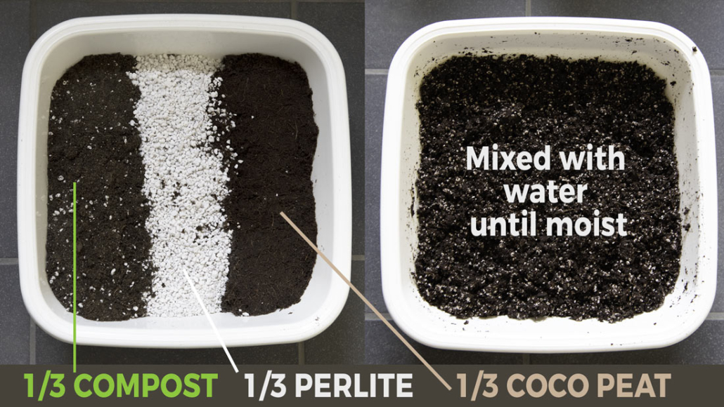 growing herbs form seeds -soil-mix-for-herbs-thirds-perlite-coco-peat-and-compost