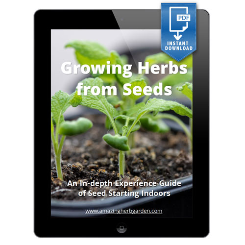 how-to-grow-herbs-from-seeds-ebook