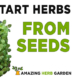 article about how to start growing herbs from sowing seeds for th eindoor herb garden