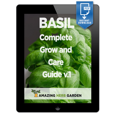picture of our basil free complete grow and care guide pdf ebook