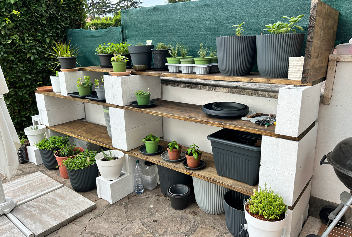 DIY tiered shelf with herb plants