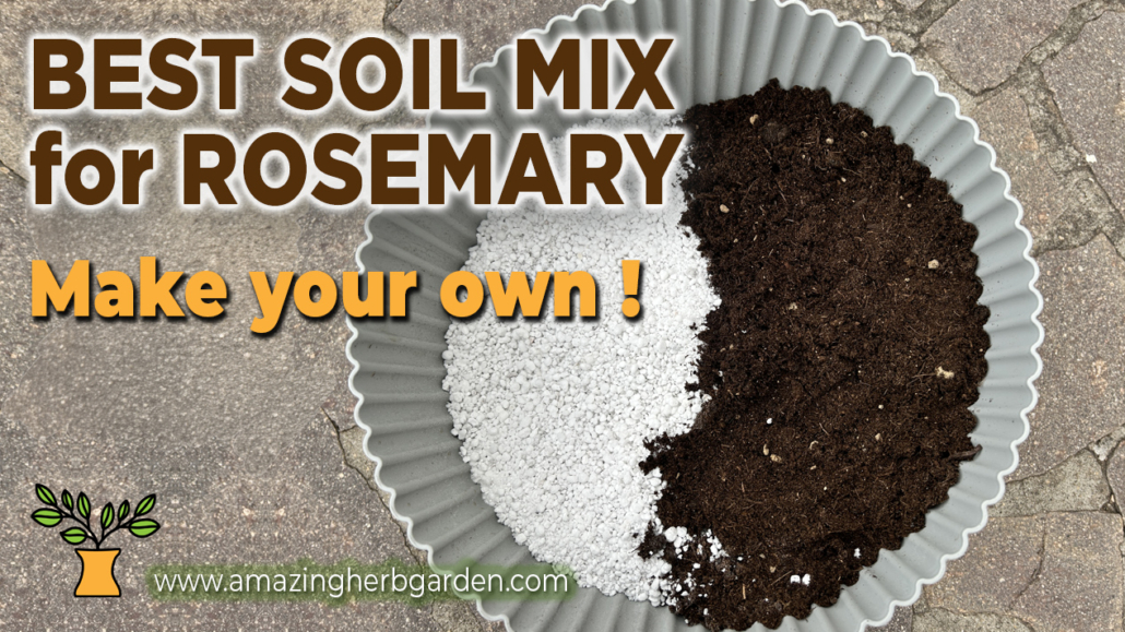 Rosemary-potting-mix rosemary potting mix from perlite and compost