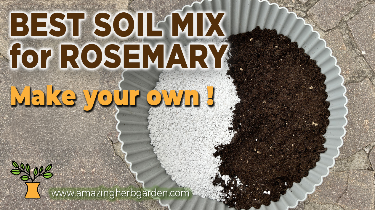 rosemary potting mix from perlite and compost