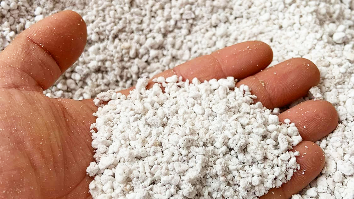 a hand full of perlite