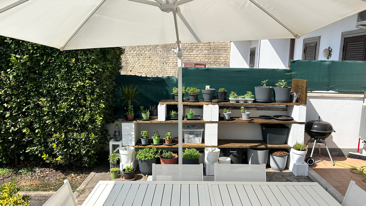 protecting-pots-from-extreme-summer-heat-1