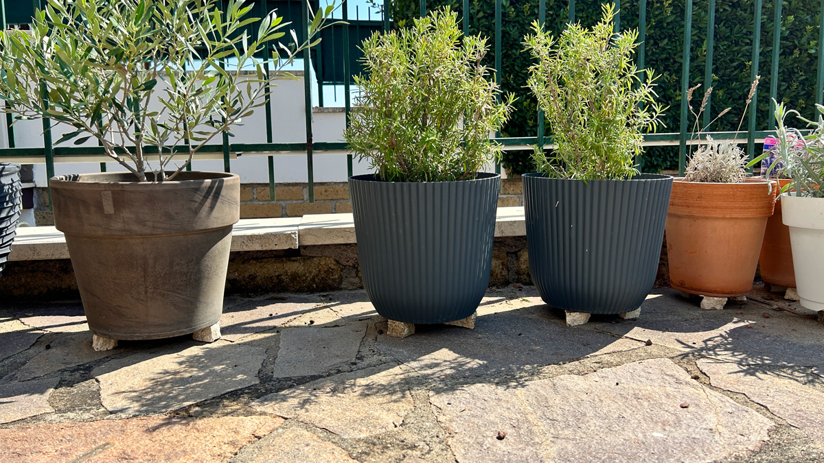 protecting-pots-from-extreme-summer-heat-2