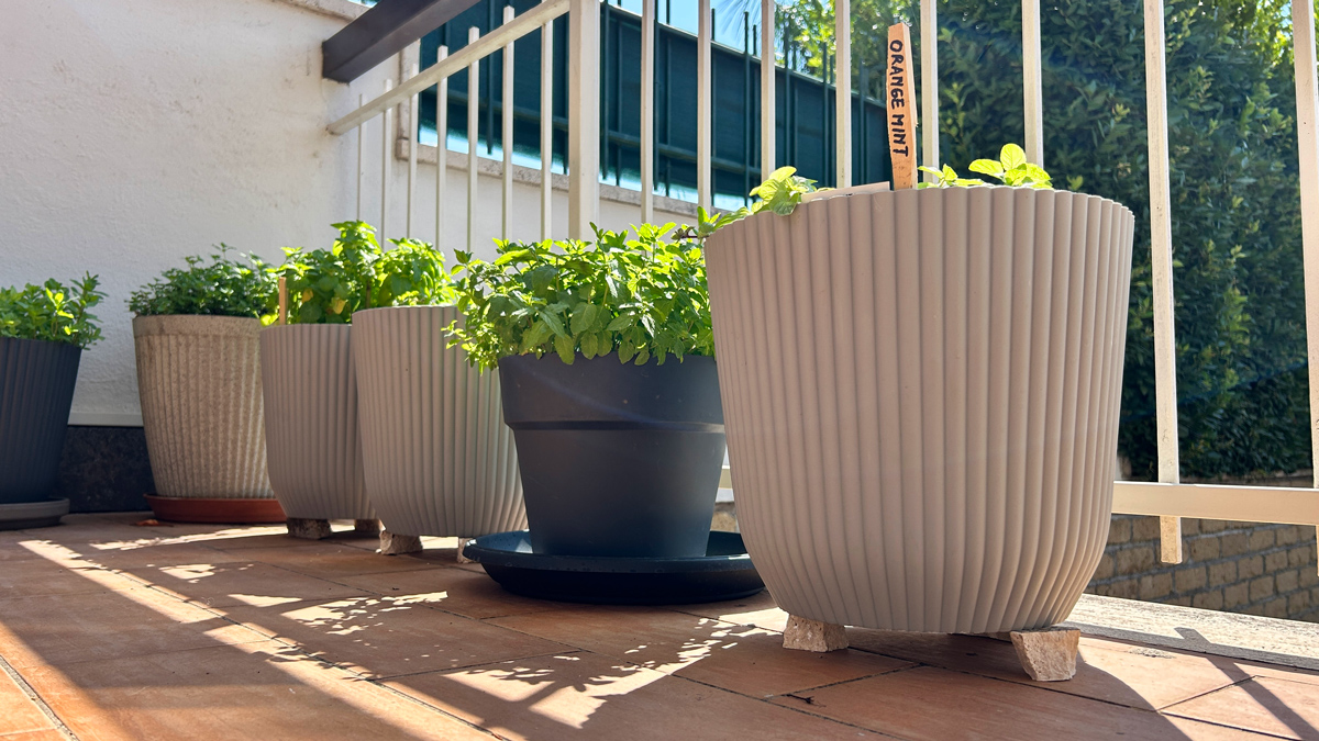 protecting-pots-from-extreme-summer-heat-5